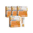 PAKET DIREKT MAGNESIUM ''On the go'' 400 + D3 3+1 GRATIS